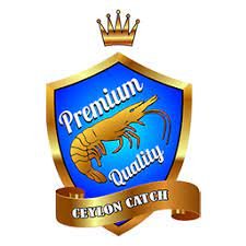 download 4 1 - Portfolio