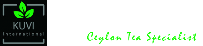 main logo 1 - Portfolio